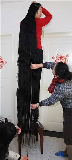 الصينية ني لينمي صاحبة أطول شعر في العالم 