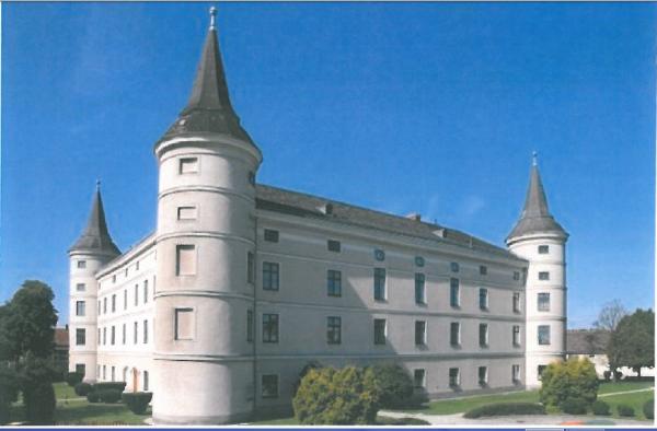 قصر-دومينيك-حوراني (6)