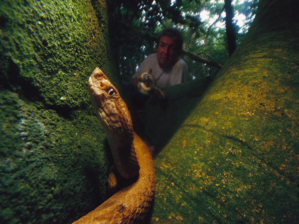 جزيرة الثعابين في البرازيل ويصل عدد الثعابين إلى 4000 نوع .