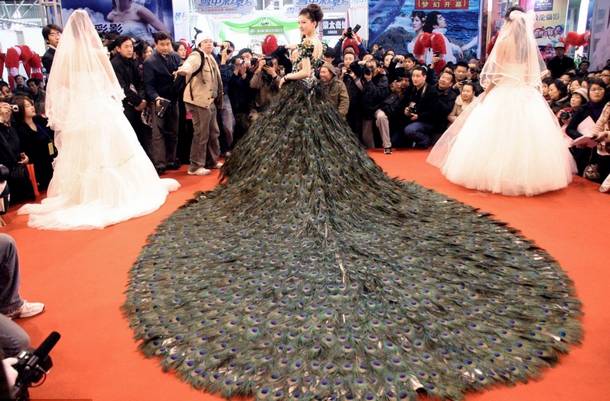 فستان من ريش الطاووس يبلغ ثمنه 1.5 مليون دولار