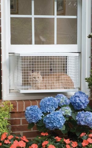 منتوجات لراحة القطط و حماية المنزل من عواقب إقتنائها ! (16)