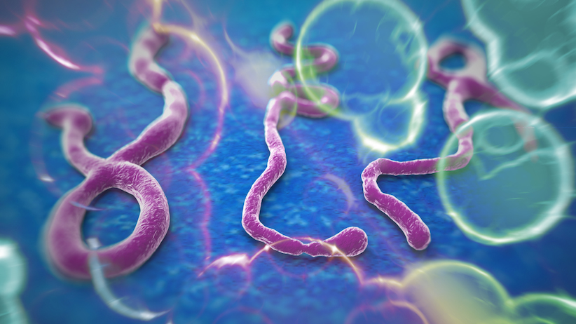 إرشادات للوقاية من وباء الإيبولا القاتل