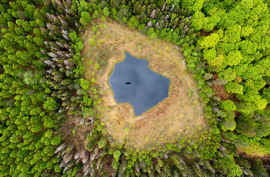 بحيرة الغابات في بولندا
