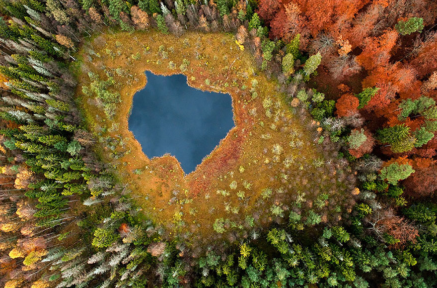 بحيرة الغابات في بولندا1