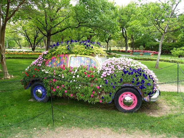 أفكار لاستخدام السيارات القديمة و التالفة لعمل منظر جميل من الزهور