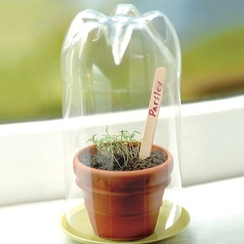 وضع زجاجات بلاستيكية لحماية النباتات و تأمين التدفئة لها