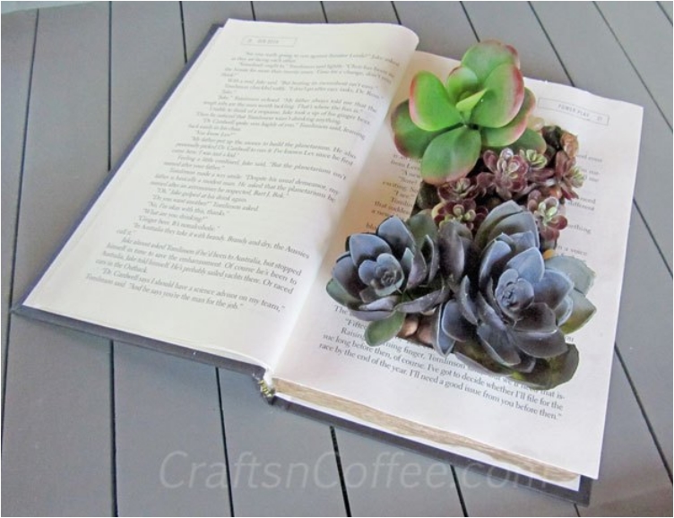 علبة تحتوي على النباتات بداخل كتاب