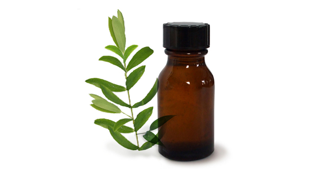Tea-tree-oil_acne_treatment1