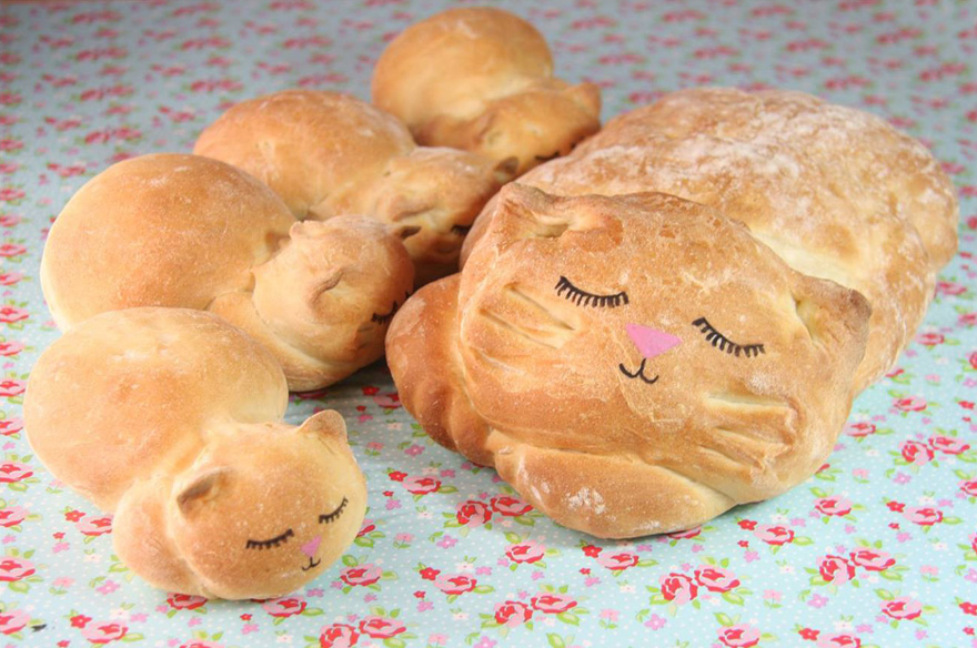 خبز القطط خباز بريطاني