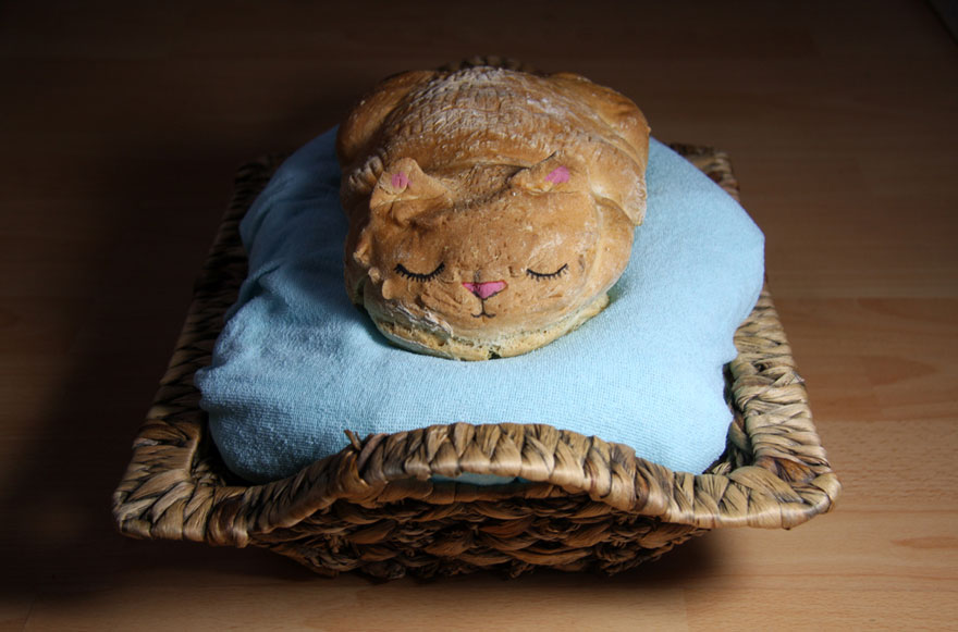 خبز على شكل قطط