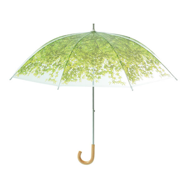 مظلة الشجرة مع الظل