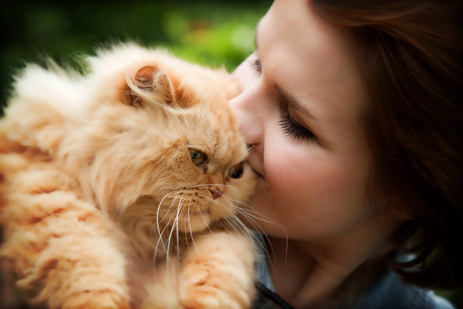 سر العلاقة بين عزوبية النساء و امتلاك القطط !