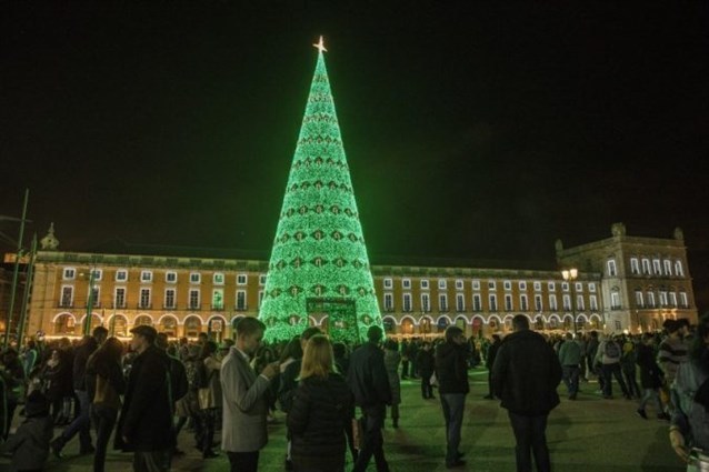 أشجار أعياد الميلاد تنتشر في عيد الميلاد شاهدي اجملها حول العالم