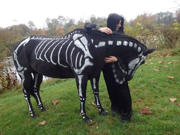 Skeleton Horse 2